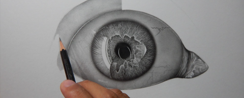 Curso Intensivo de Dibujo - Módulo II - Cómo Dibujar Ojos Realistas